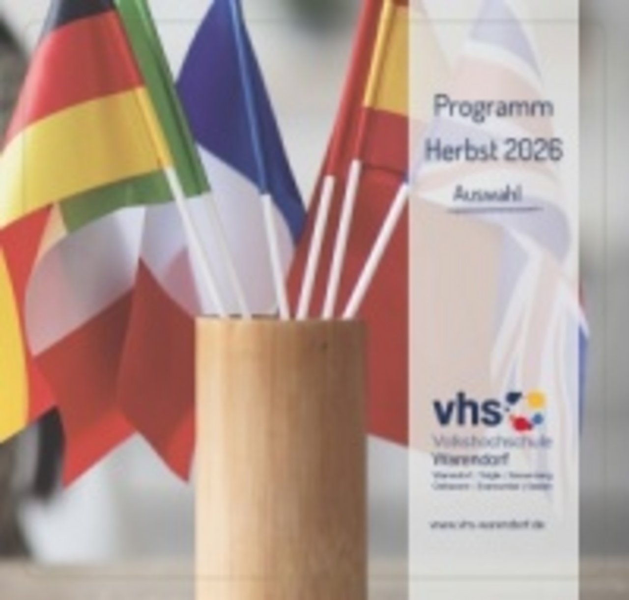 VHS-Programm-Cover